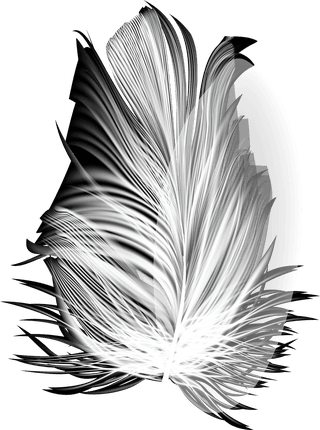 feathersd-realistic-set-white-bird-angel-feathers-various-shapes-276179