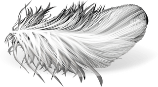 feathersd-realistic-set-white-bird-angel-feathers-various-shapes-771722
