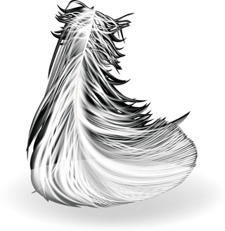feathersd-realistic-set-white-bird-angel-feathers-various-shapes-412059