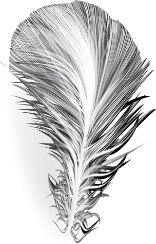 feathersd-realistic-set-white-bird-angel-feathers-various-shapes-135957
