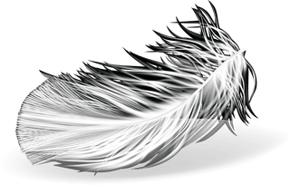 feathersd-realistic-set-white-bird-angel-feathers-various-shapes-604191