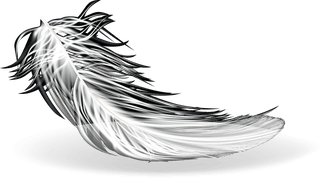 feathersd-realistic-set-white-bird-angel-feathers-various-shapes-892310