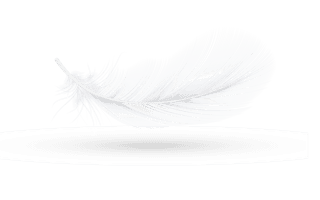 featherspillows-realistic-icon-382369