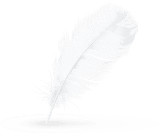 featherspillows-realistic-icon-899295
