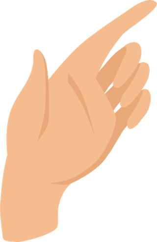 femalehand-gestures-flat-elements-165771