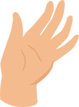 femalehand-gestures-flat-elements-579680