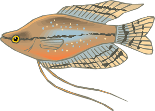 fishcolorful-big-vector-collection-of-different-fish-93295