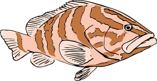 fishcolorful-big-vector-collection-of-different-fish-172000