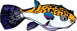 fishcolorful-big-vector-collection-of-different-fish-21584