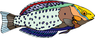 fishcolorful-big-vector-collection-of-different-fish-10712