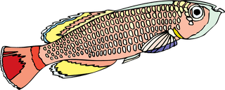 fishcolorful-big-vector-collection-of-different-fish-974692