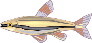 fishcolorful-big-vector-collection-of-different-fish-258559