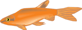 fishcolorful-big-vector-collection-of-different-fish-218795