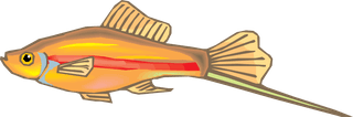 fishcolorful-big-vector-collection-of-different-fish-90431