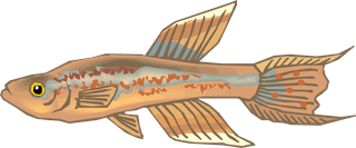 fishcolorful-big-vector-collection-of-different-fish-402011