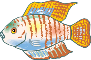 fishcolorful-big-vector-collection-of-different-fish-438271