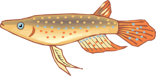 fishcolorful-big-vector-collection-of-different-fish-414230