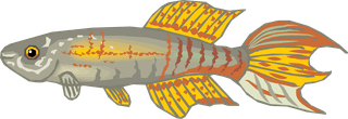 fishcolorful-big-vector-collection-of-different-fish-275457