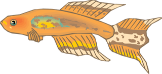 fishcolorful-big-vector-collection-of-different-fish-134831