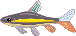 fishcolorful-big-vector-collection-of-different-fish-168565