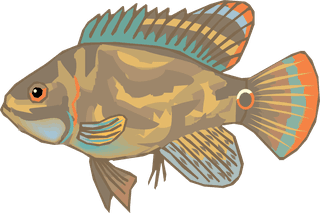 fishcolorful-big-vector-collection-of-different-fish-50792