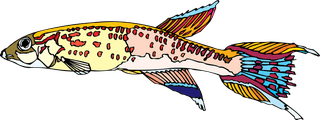 fishcolorful-big-vector-collection-of-different-fish-852118