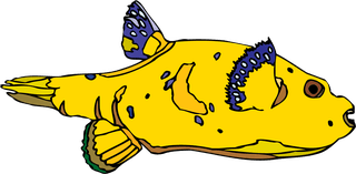 fishcolorful-big-vector-collection-of-different-fish-790686