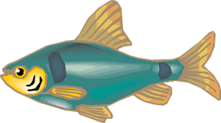 fishcolorful-big-vector-collection-of-different-fish-43514
