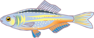fishcolorful-big-vector-collection-of-different-fish-320575