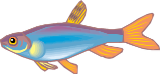 fishcolorful-big-vector-collection-of-different-fish-261167