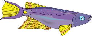 fishcolorful-big-vector-collection-of-different-fish-903228