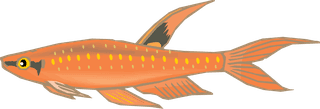fishcolorful-big-vector-collection-of-different-fish-791492