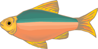 fishcolorful-big-vector-collection-of-different-fish-479784