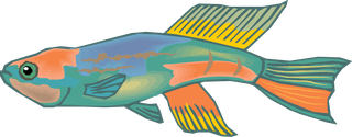 fishcolorful-big-vector-collection-of-different-fish-531282