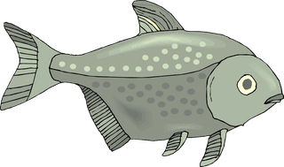 fishcolorful-big-vector-collection-of-different-fish-381334