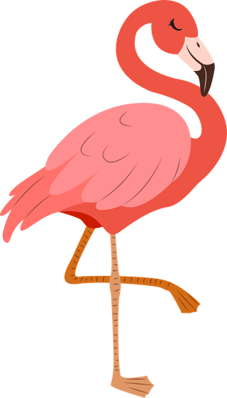 flamingoanimals-species-icons-colored-cartoon-sketch-788973