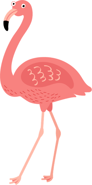 flamingocute-birds-illustration-set-781448