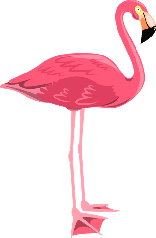 flamingoexotic-birds-set-378347