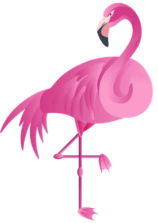 flamingoflamingo-species-icons-colored-flat-sketch-212728