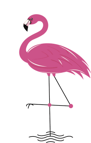 flamingoflamingo-species-icons-colored-flat-sketch-995698