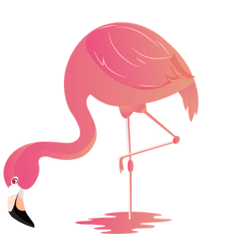 flamingoflamingo-species-icons-colored-flat-sketch-112096