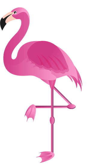 flamingoflamingo-species-icons-colored-flat-sketch-784101