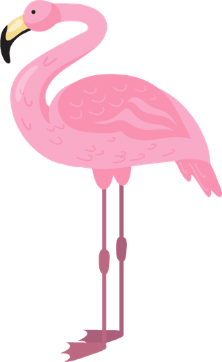 flamingopink-flamingo-bird-different-poses-flat-set-792958