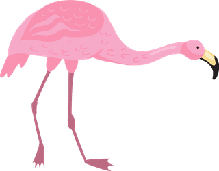 flamingopink-flamingo-bird-different-poses-flat-set-273267