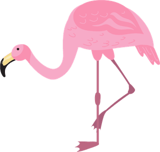 flamingopink-flamingo-bird-different-poses-flat-set-175320
