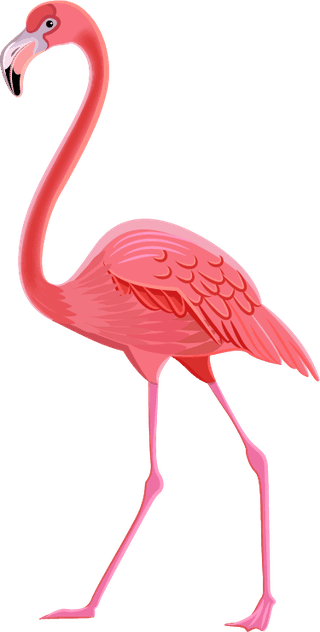 flamingotropical-birds-plants-pictograms-set-14911