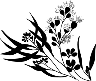 blackdecorative-floral-design-elements-41032