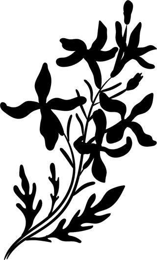 blackdecorative-floral-design-elements-559206
