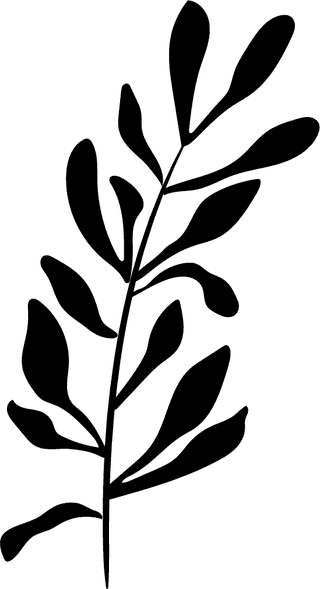blackdecorative-floral-design-elements-34564