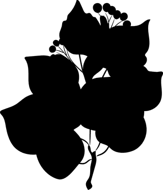 blackdecorative-floral-design-elements-591993